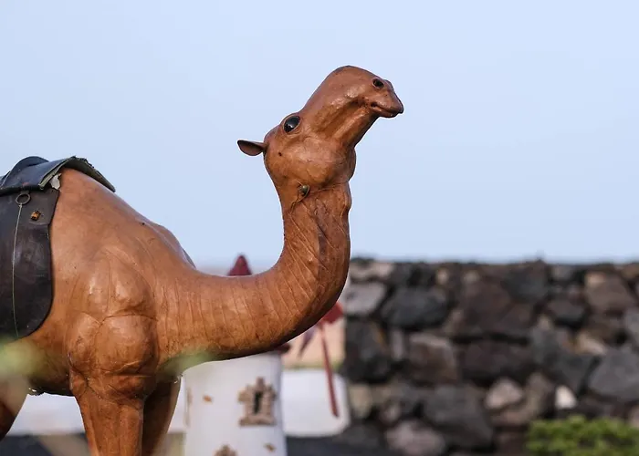 Club Jm Lanzarote Venkovský dům *