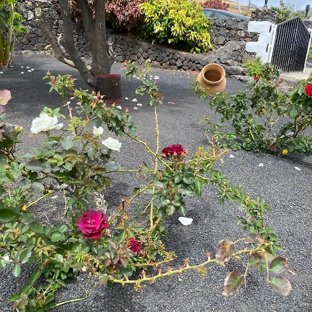 Club Jm Lanzarote 乡村民宿 *