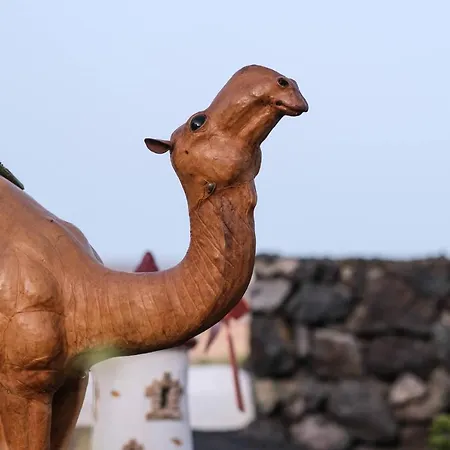 Club Jm Lanzarote Country house *