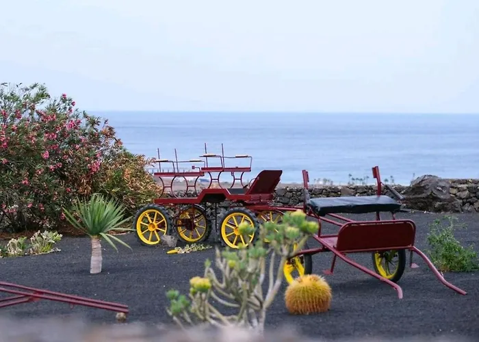 Club Jm Lanzarote Gospodarstwo wiejskie *