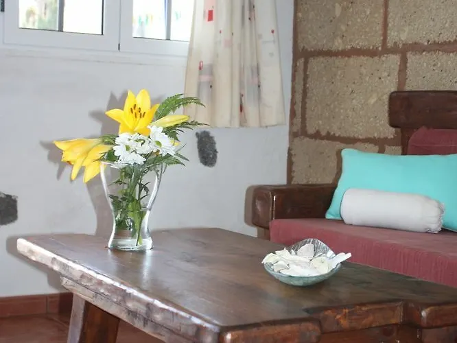 Club Jm Lanzarote Gospodarstwo wiejskie